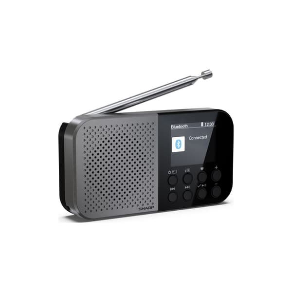 Sharp DR-P520, Personal, Digital, DAB, DAB+, FM, AAC, 5,08 (Öppnad)