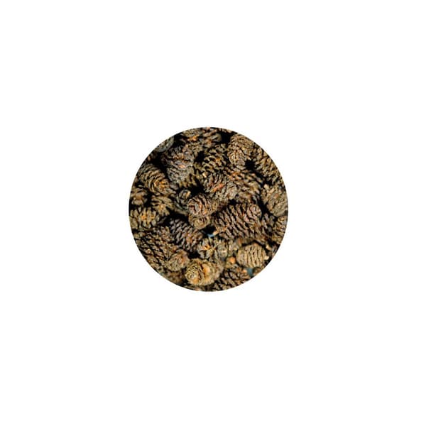 Alkottar 50p Brun