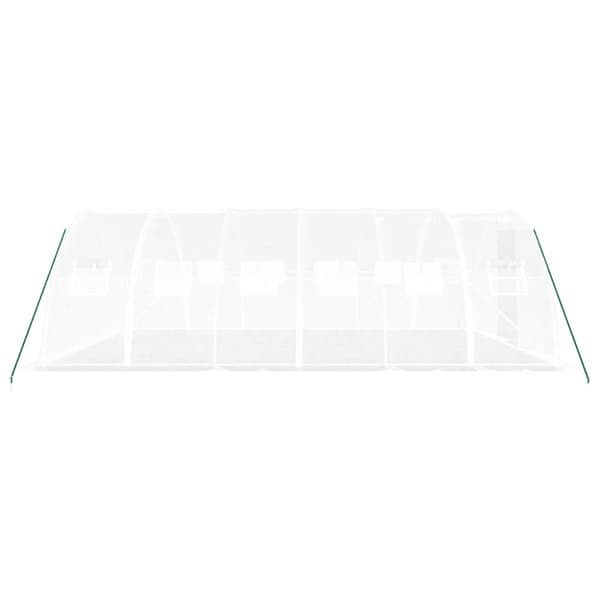 Växthus med stålram vit 24 m² 6x4x2 m