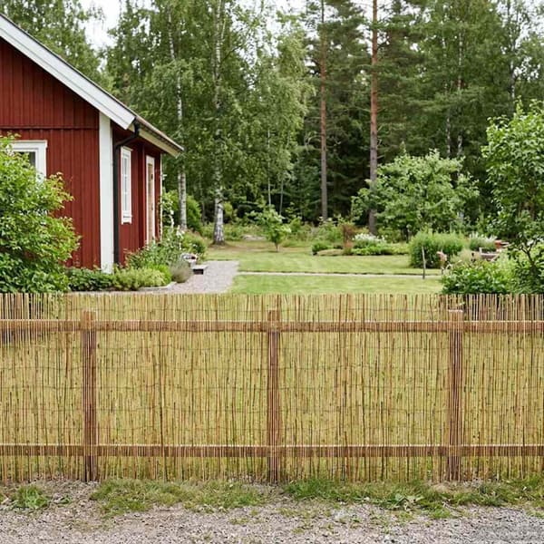Trädgårdsstängsel Karbomiserad 1000 x 90 cm Vass