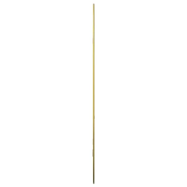 Väggspegel guld 80x50 cm