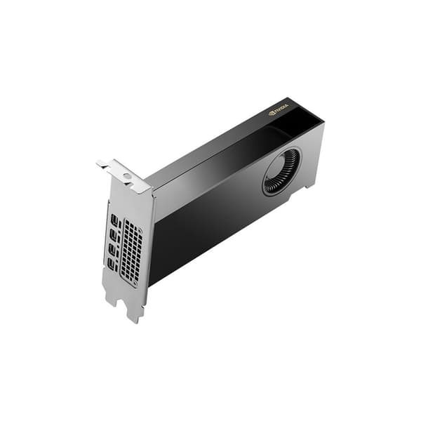 NVIDIA - grafikkort - NVIDIA RTX 2000 Ada - 16 GB