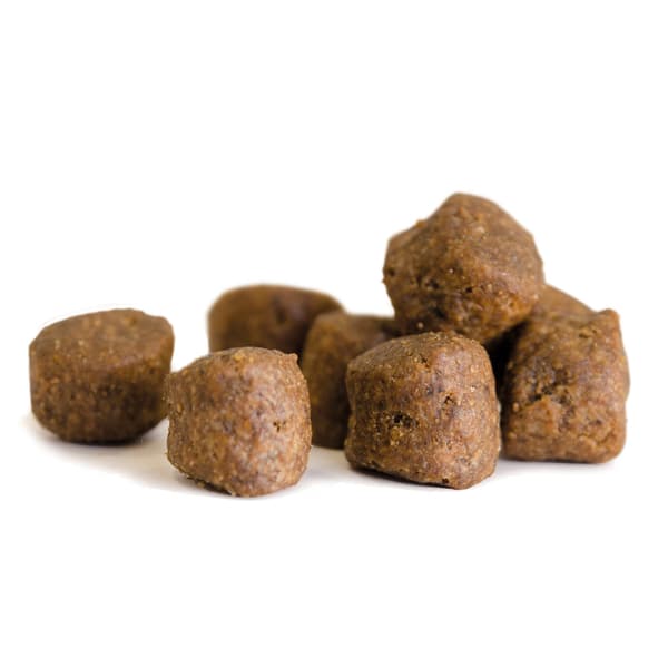 Adult spannmålsfritt hundfoder 3kg