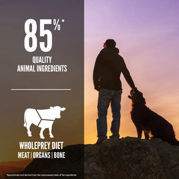 Regional Red Torrfoder för hund 2kg