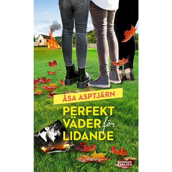 Perfekt väder för lidande (bok, danskt band)