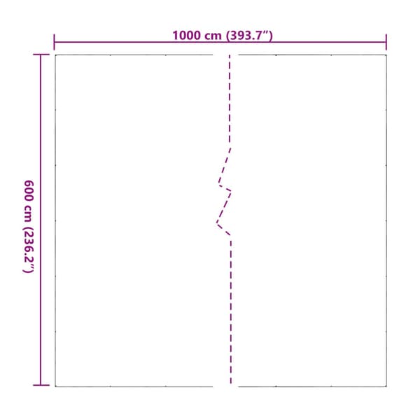 Tarpulin Transparent 6 x 10 m PVC