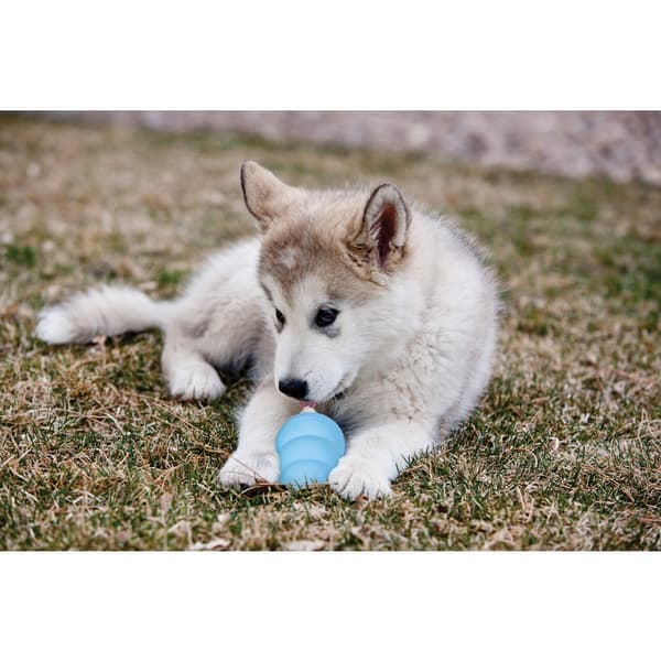 Leksak Puppy Mix M