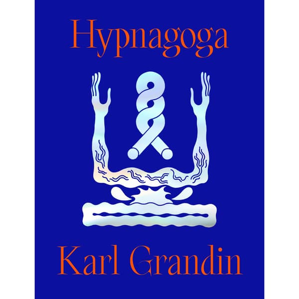 Hypnagoga (inbunden)