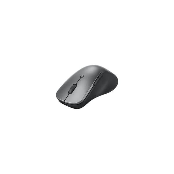 Lenovo Professional - mus - Bluetooth 5.1 - åskmolnsgrå