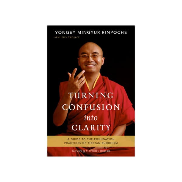 Turning confusion into clarity (häftad, eng)