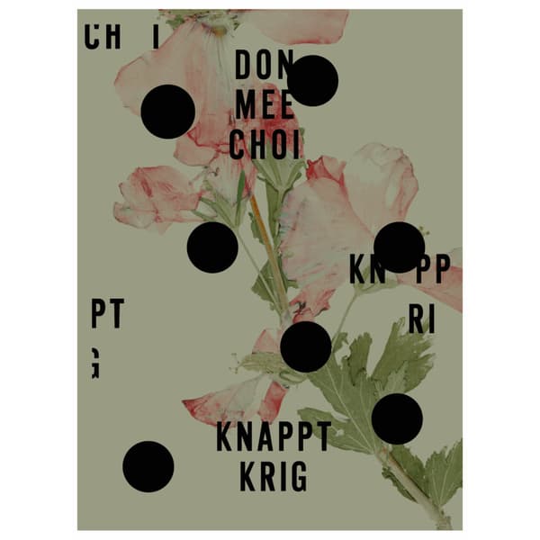 Knappt krig (bok, danskt band)