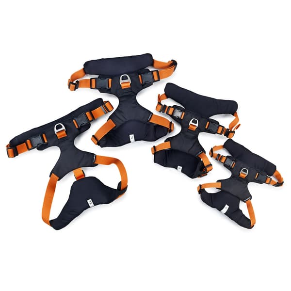 Sportsele Emmi Orange