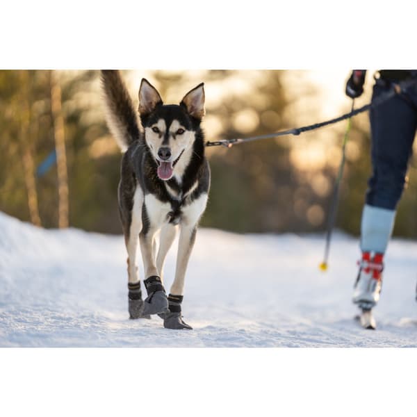 Hundskor High Endurance 4p Grå