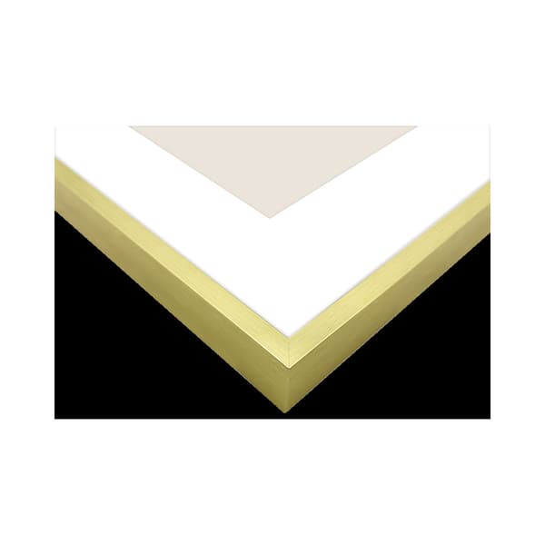 Focus Aster Gold 30x40/PP 20x30