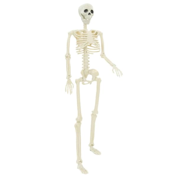 Halloween skelett 2 pcs Vit 85 cm PVC