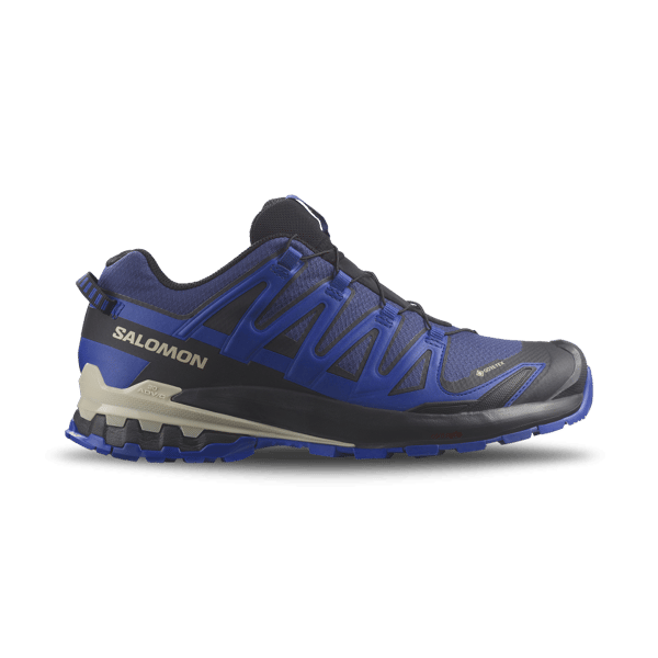 XA Pro v9 GTX Shoe Blue Male