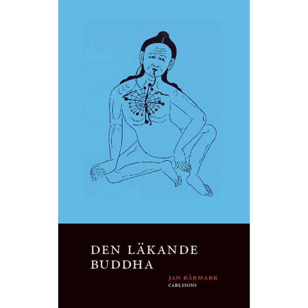 Den läkande Buddha (inbunden)