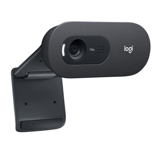 Logitech C505e webbkameror 1280 x 720 pixlar USB Svart