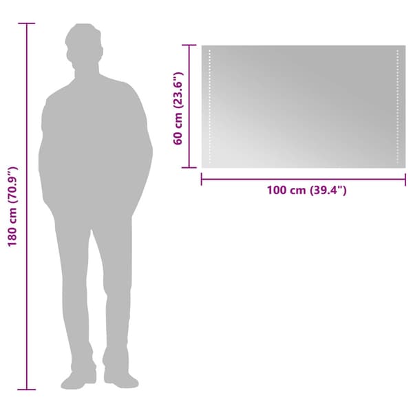 LED Badrumsspegel Transparent 100 x 60 cm härdat glas