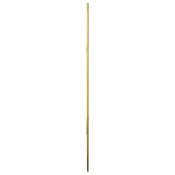 Väggspegel guld 60x40 cm