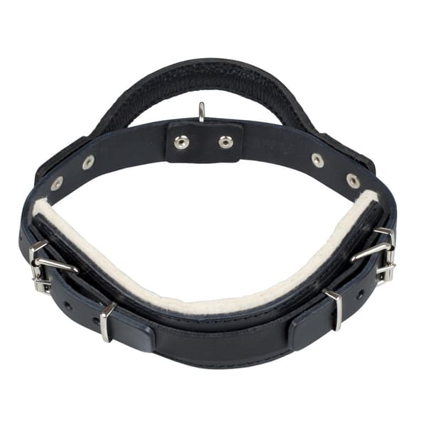 Halsband läder m handtag Gappay L