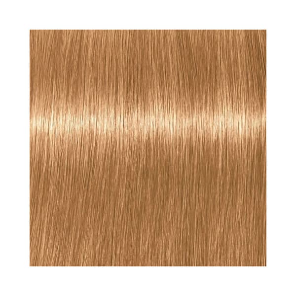 Professional Igora Vibrance Kit 9-57 Extra Light Blonde Gold Copper