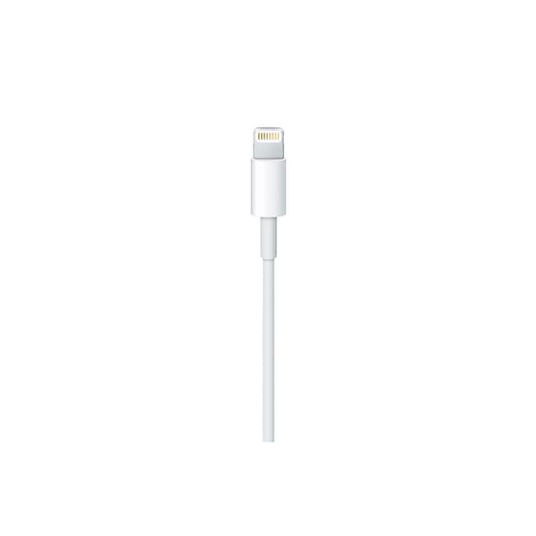 Apple MD818ZM/A belysningskabel 1 m Vit
