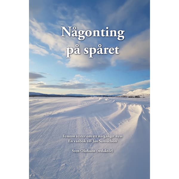 Någonting på spåret (inbunden)
