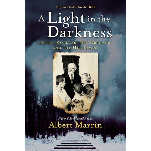 A Light in the Darkness (inbunden, eng)