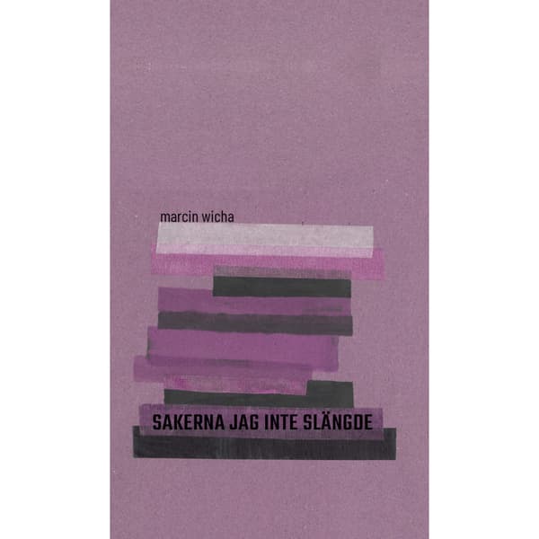 Sakerna jag inte slängde (inbunden)