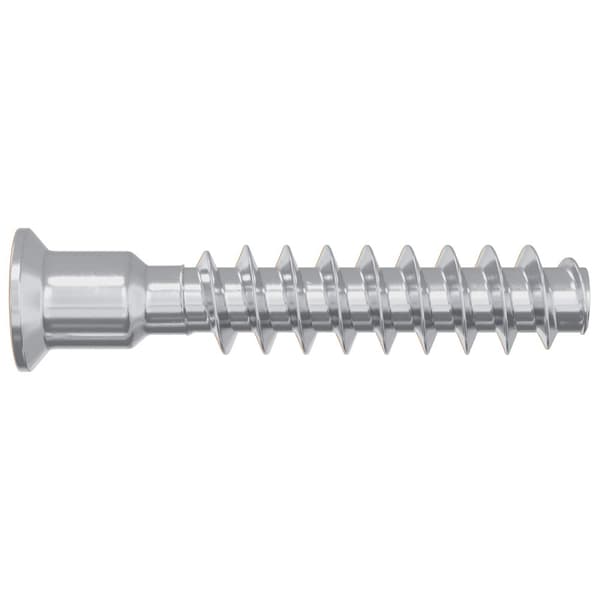 Huvudkapskruv 2900 pcs Silver Stål