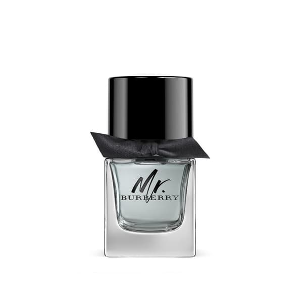 Mr. Burberry Edt 50ml
