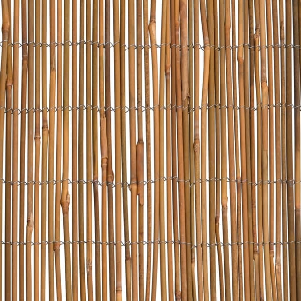 Bambustaket 500x100 cm