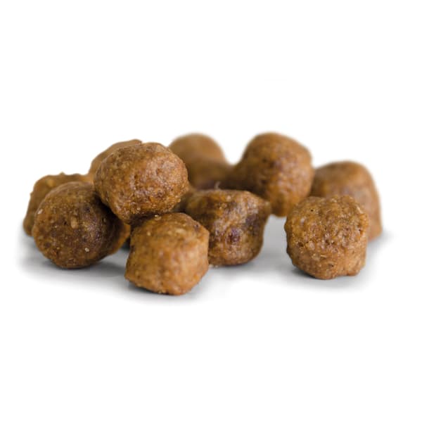 Adult Sensitive spannmålsfritt hundfoder 3kg