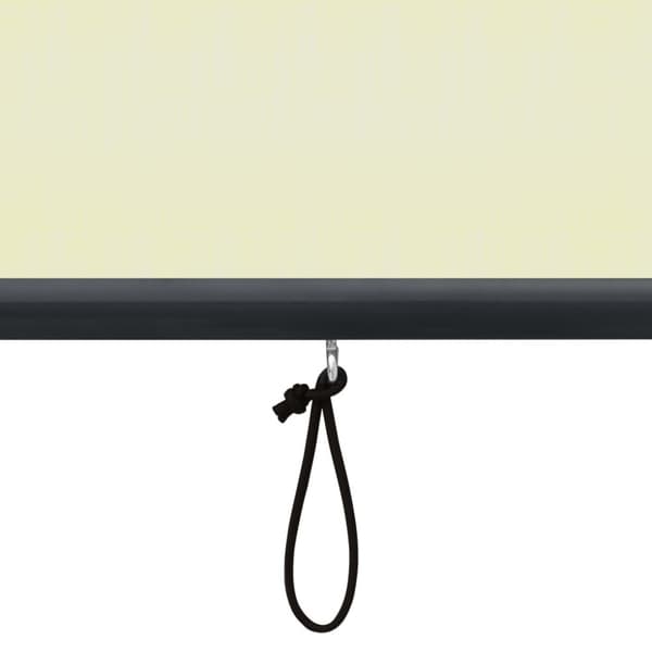 Rullgardin utomhus 60x250 cm gräddvit