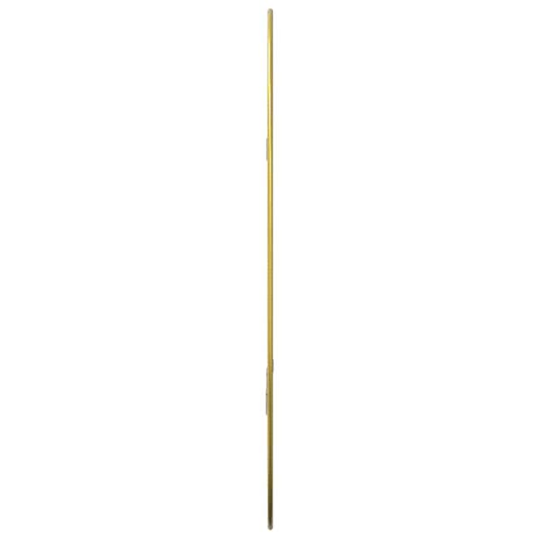 Väggspegel guld 50x35 cm
