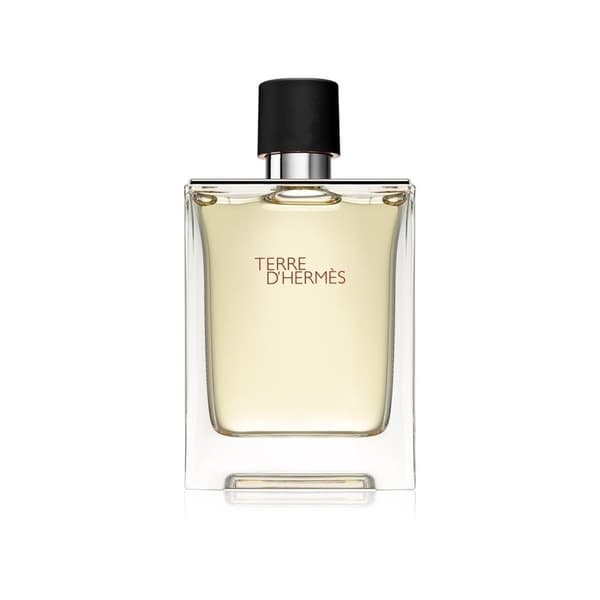 Terre dHermes Edt 100ml