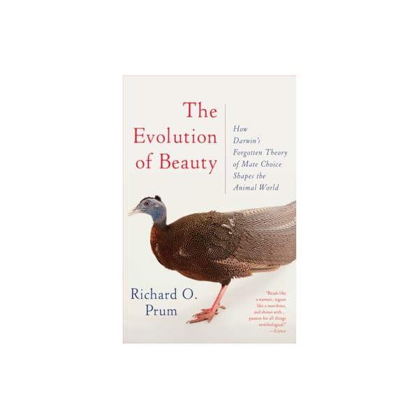 The Evolution of Beauty (häftad, eng)