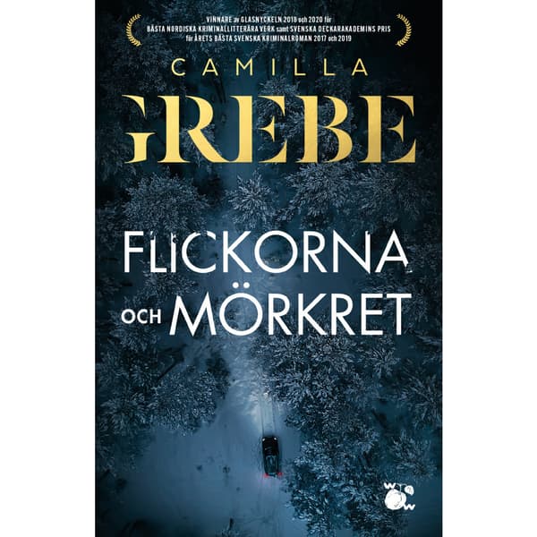 Flickorna och Mörkret (bok, storpocket)