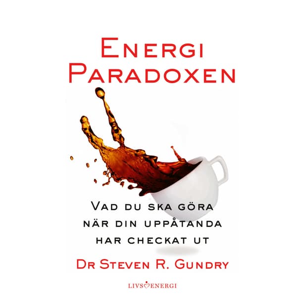 Energiparadoxen (inbunden)