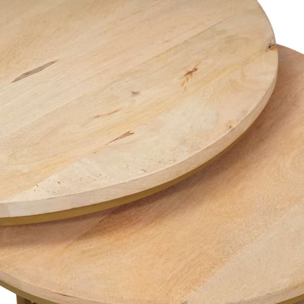 Nesting Kaffe Bord 2 pcs Brun Massivt Mangoträ och stål