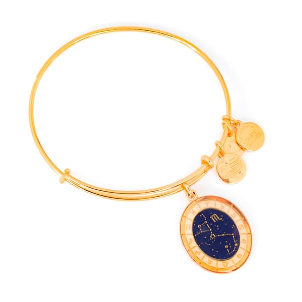 ALEX AND ANI A15EB67YG - Bracelet Dam (20CM)