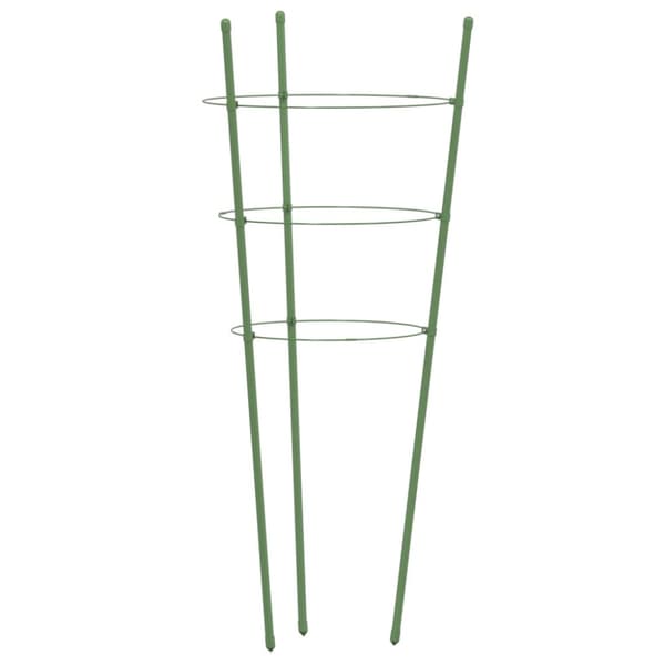 Växtstöd med 3 ringar 5 st grön 75 cm stål