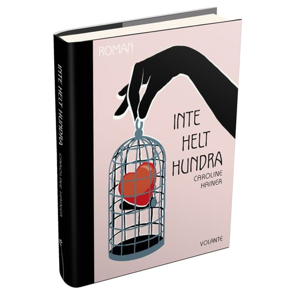 Inte helt hundra (inbunden)