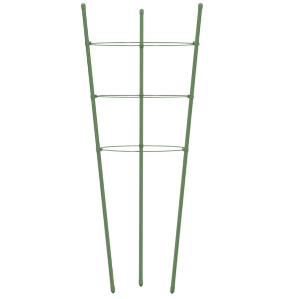 Växtstöd med 3 ringar 5 st grön 60 cm stål
