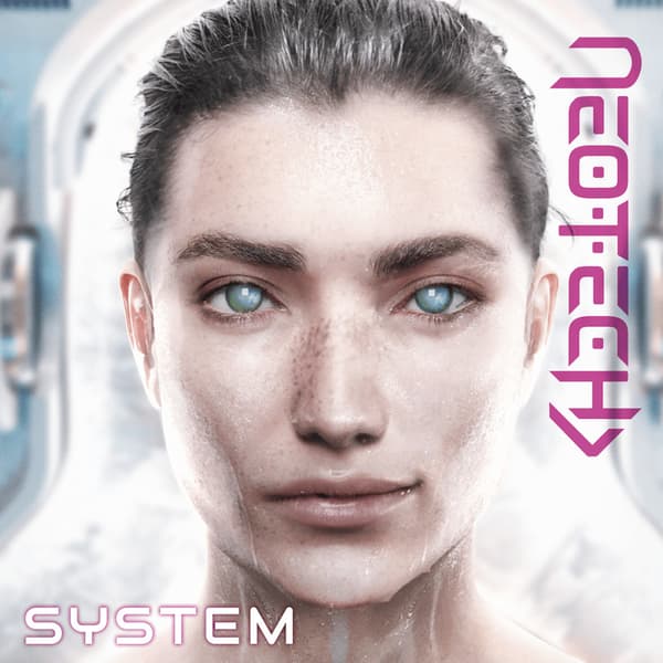 System (bok, kartonnage)