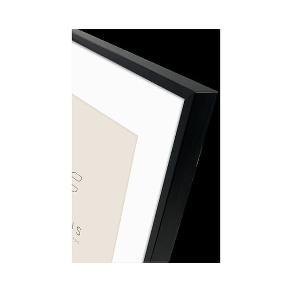 Focus Aster Black 24x30/PP 18x24