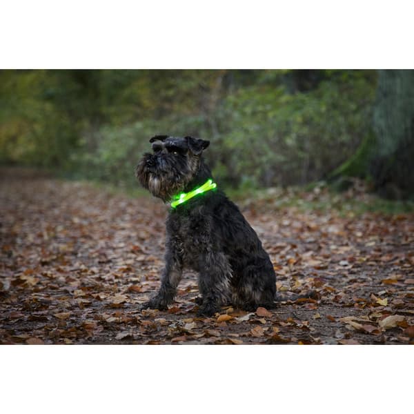 Blinkhalsband LED Rosa
