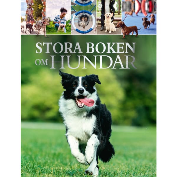 Stora boken om hundar (inbunden)