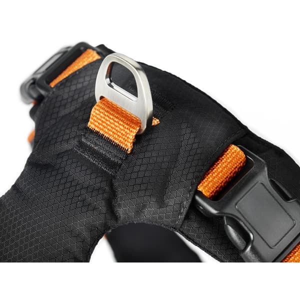 Sportsele Emmi Orange